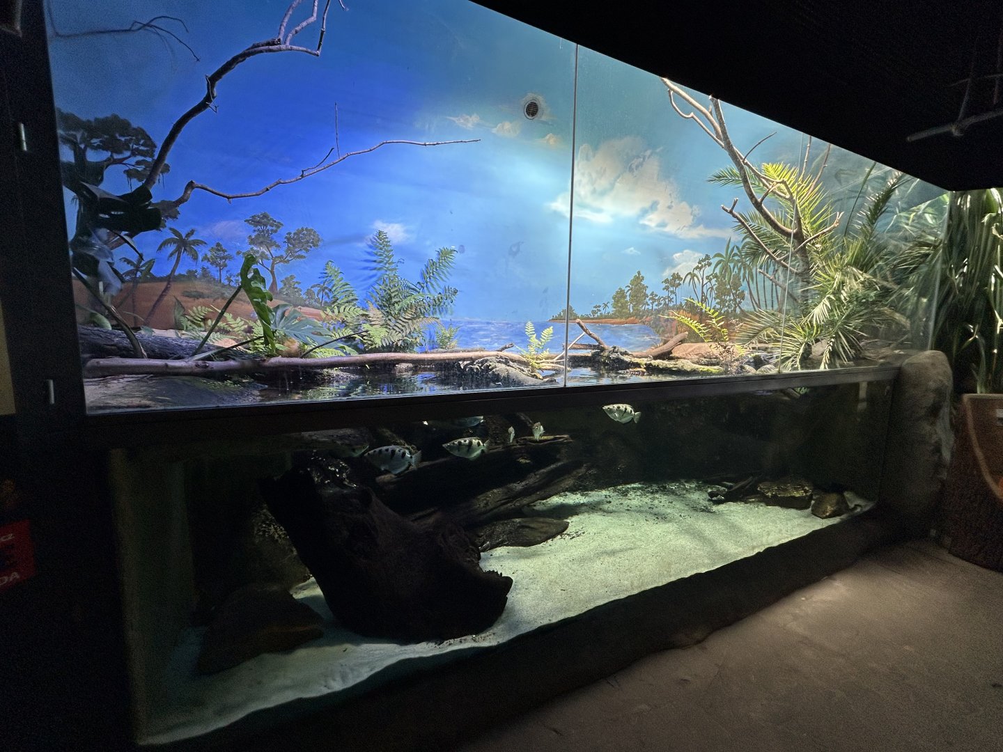 Aquarium - Papua House