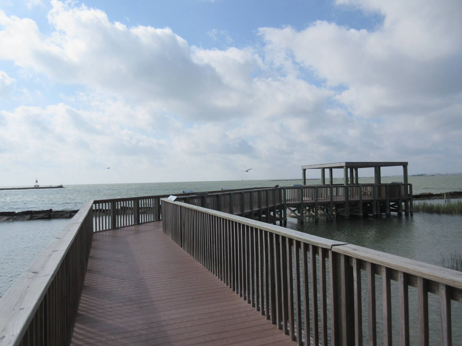 Aquarium Pier (with lots of wild sea birds around)