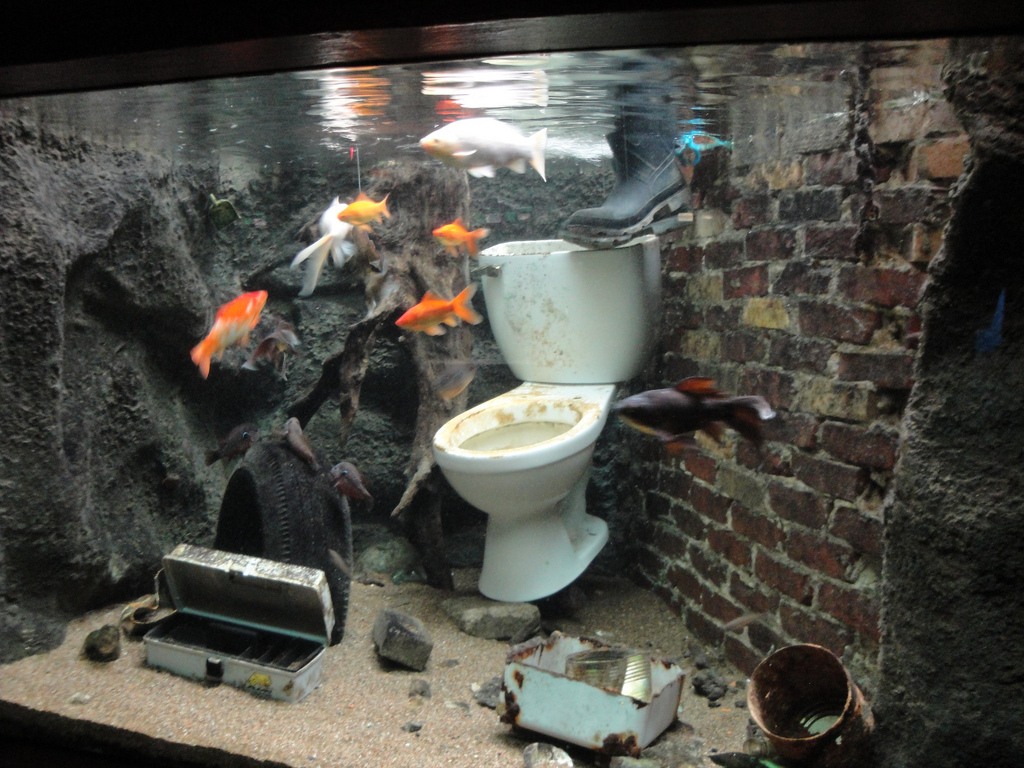 Aquarium - Pollution and Invasive Species Exhibit