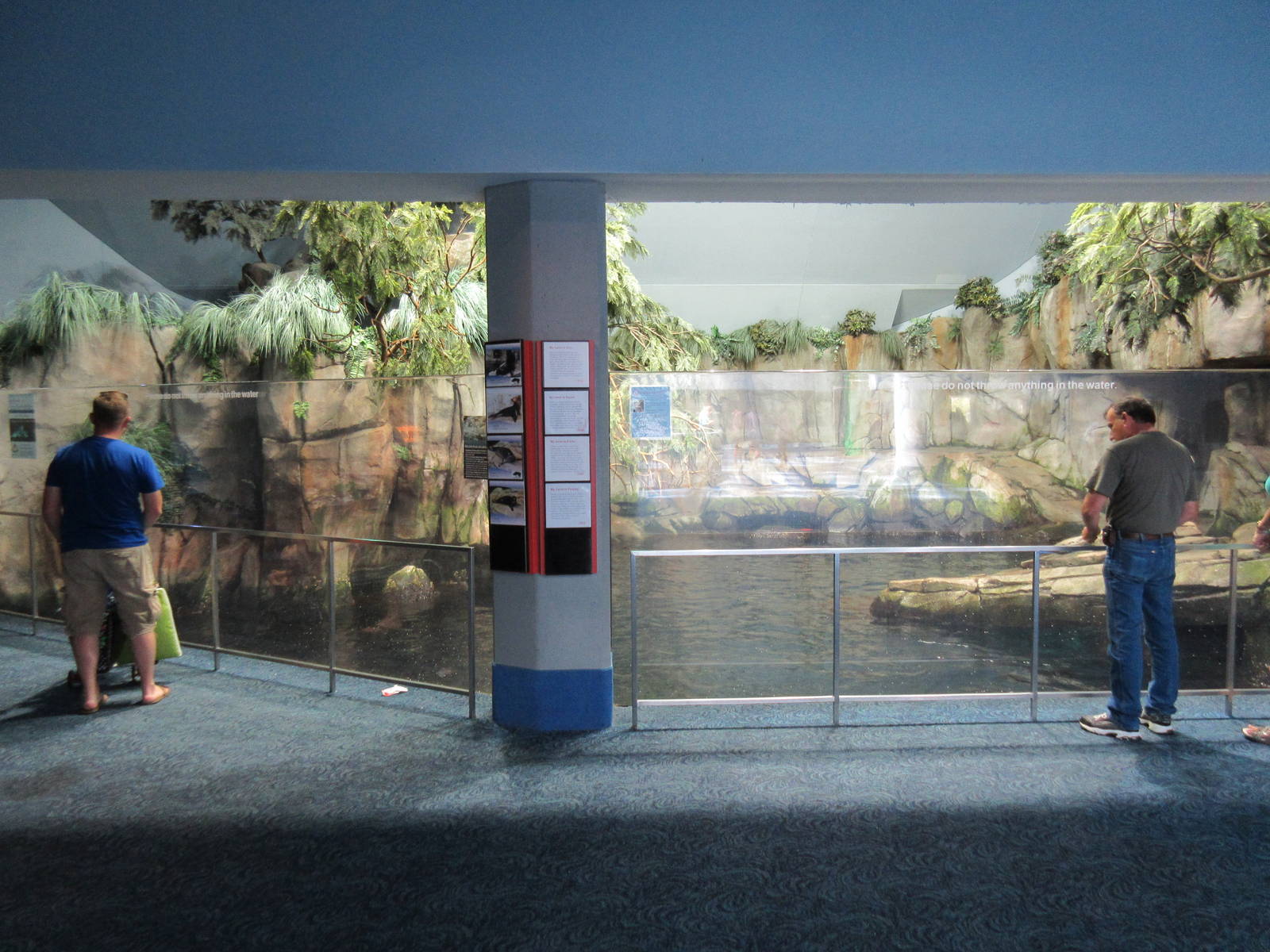 Aquarium Pyramid - California Sea Lion/Harbour Seal/Northern Fur Seal Exhib