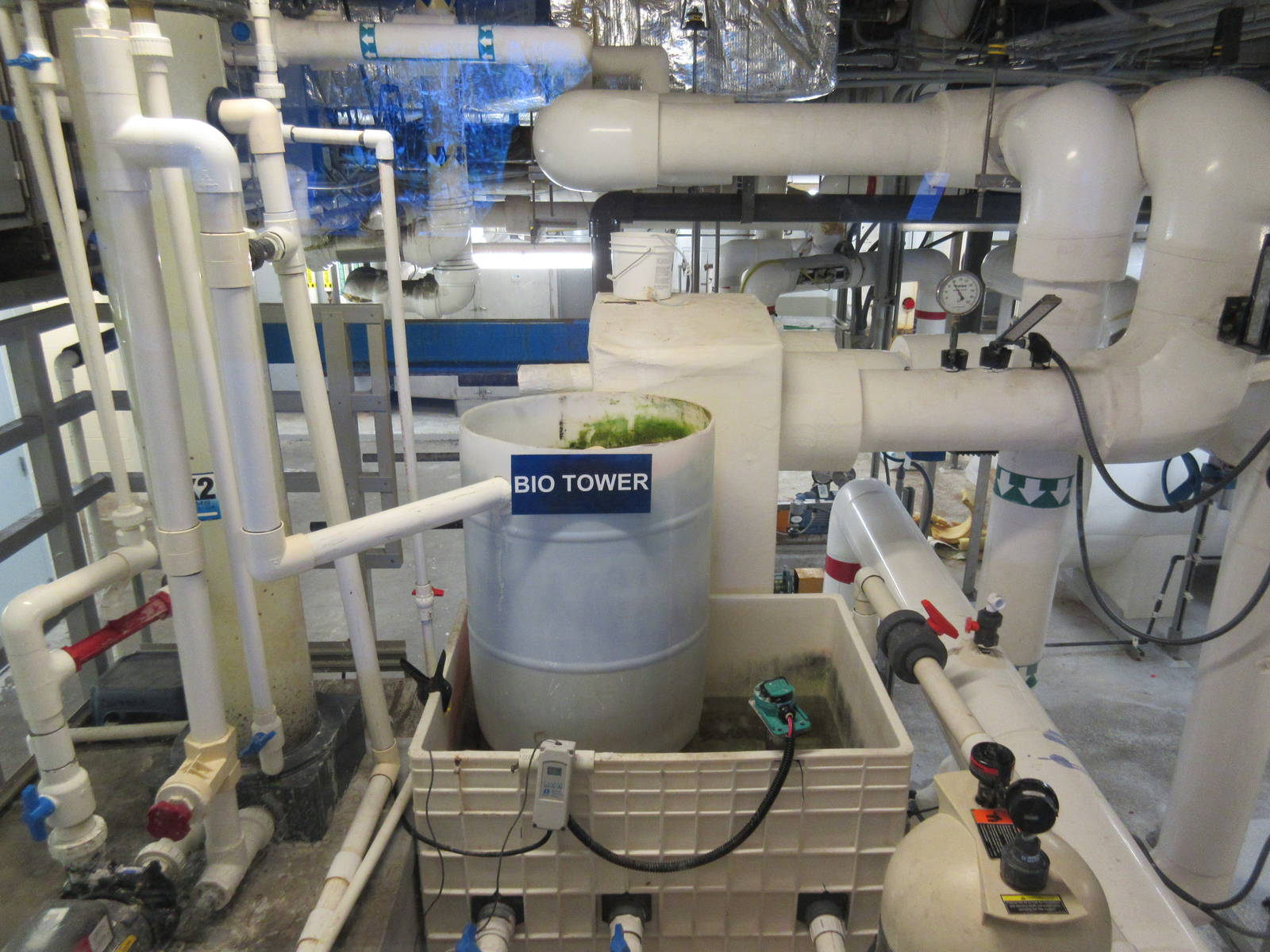 Aquarium Pyramid - Filtration Window