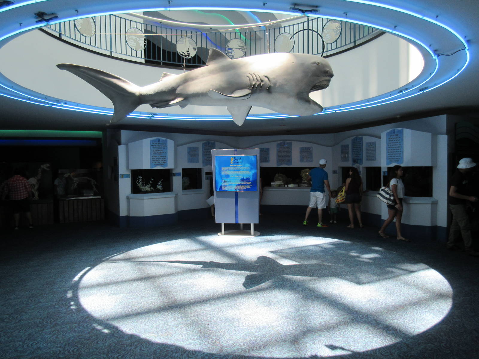 Aquarium Pyramid - Seahorse Section