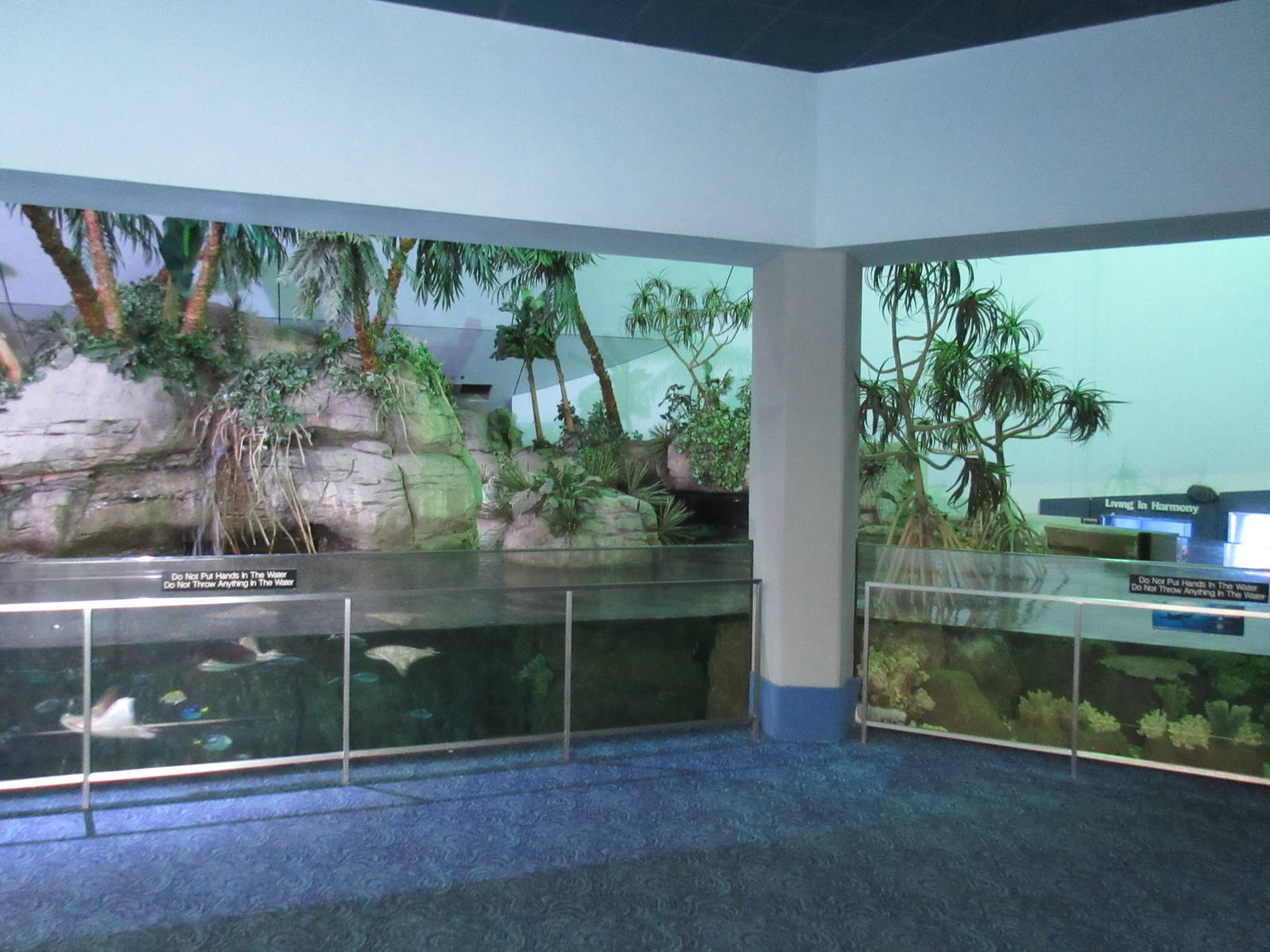 Aquarium Pyramid - Stingray/Mangrove Forest Exhibit