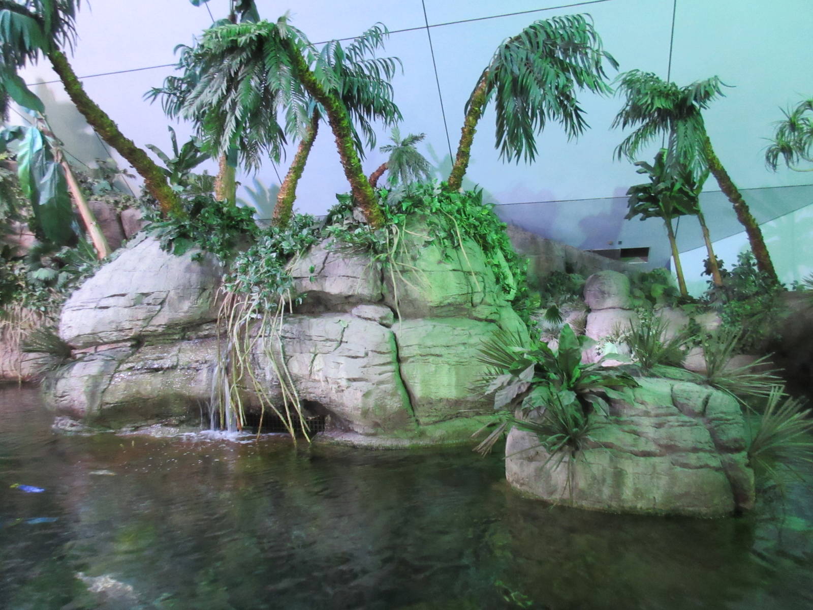 Aquarium Pyramid - Stingray/Mangrove Forest Exhibit