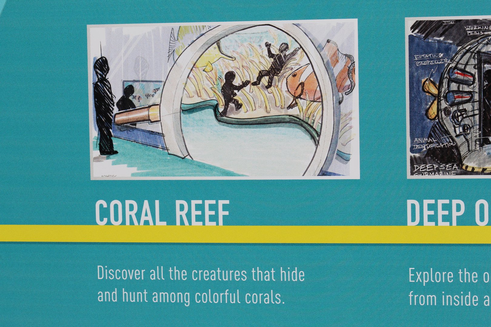 Aquarium Refurbishment