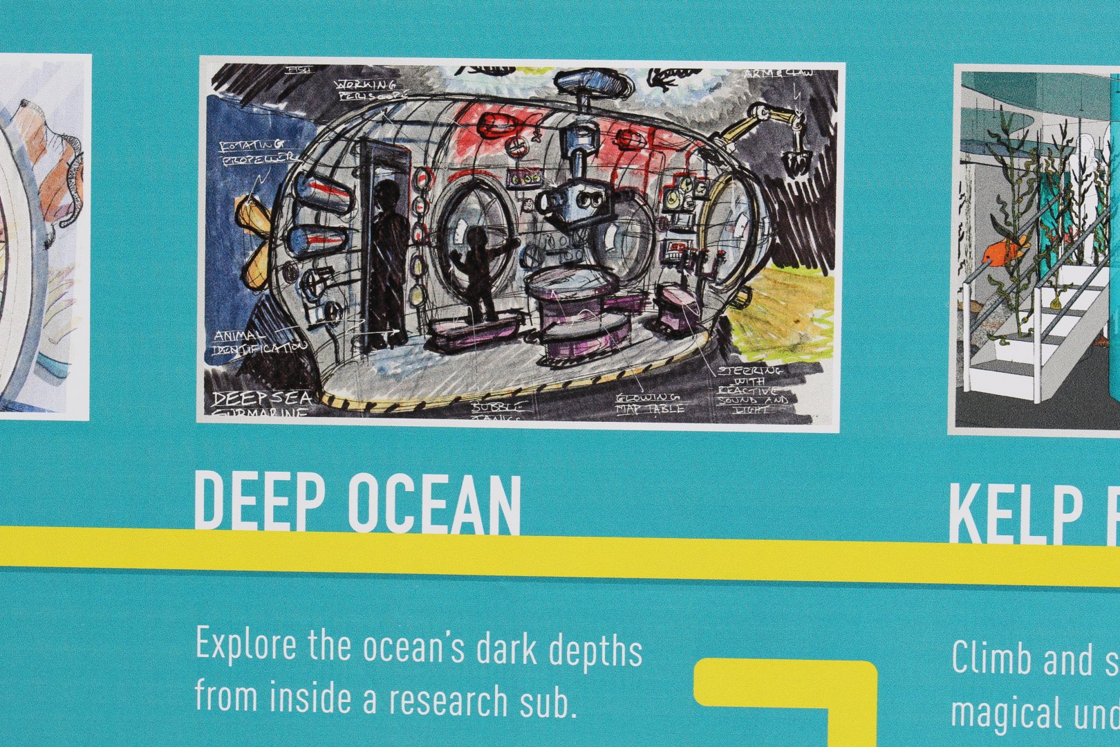 Aquarium Refurbishment