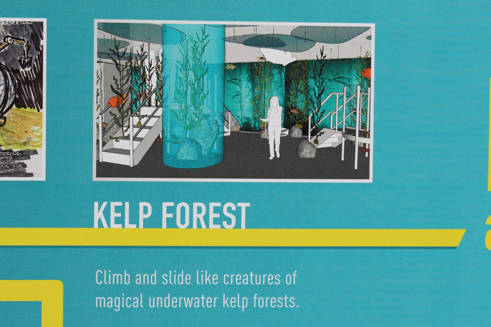 Aquarium Refurbishment