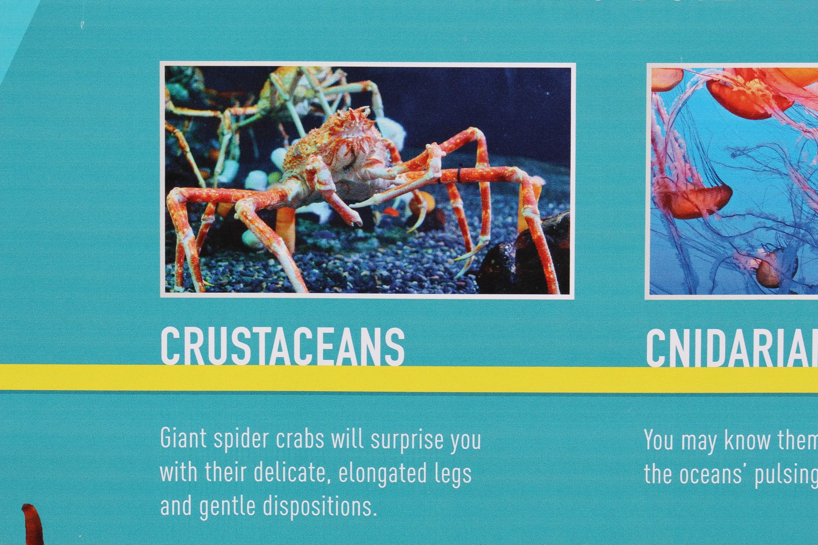 Aquarium Refurbishment