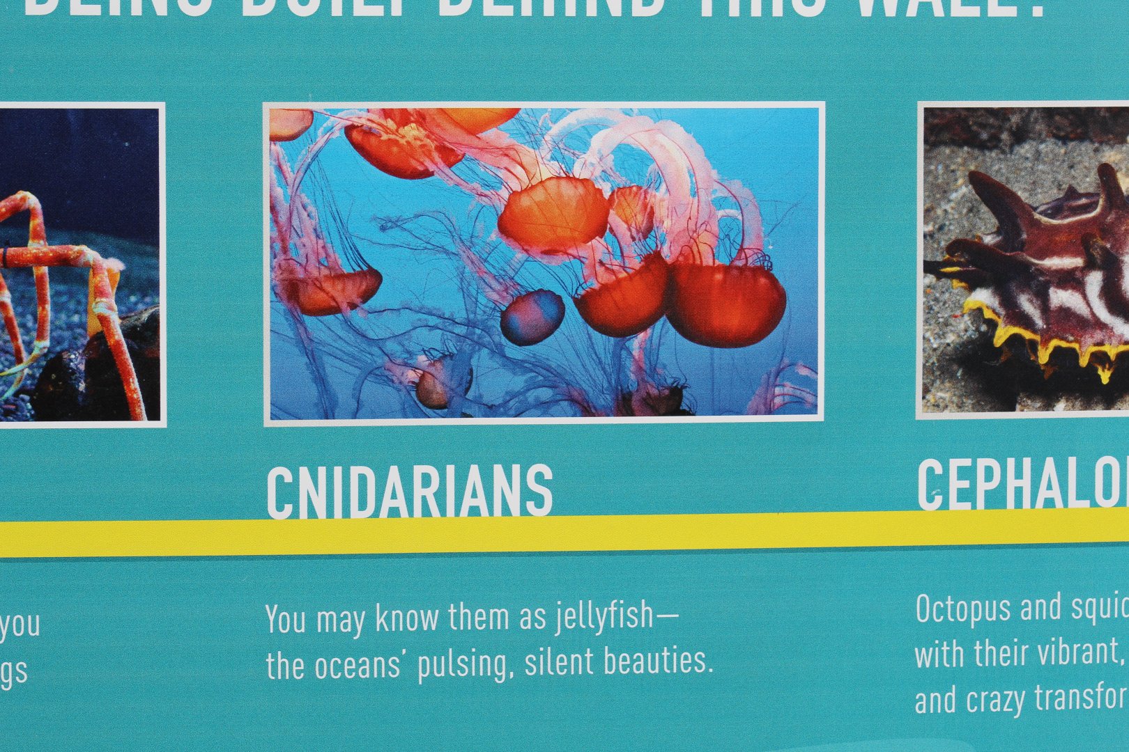 Aquarium Refurbishment