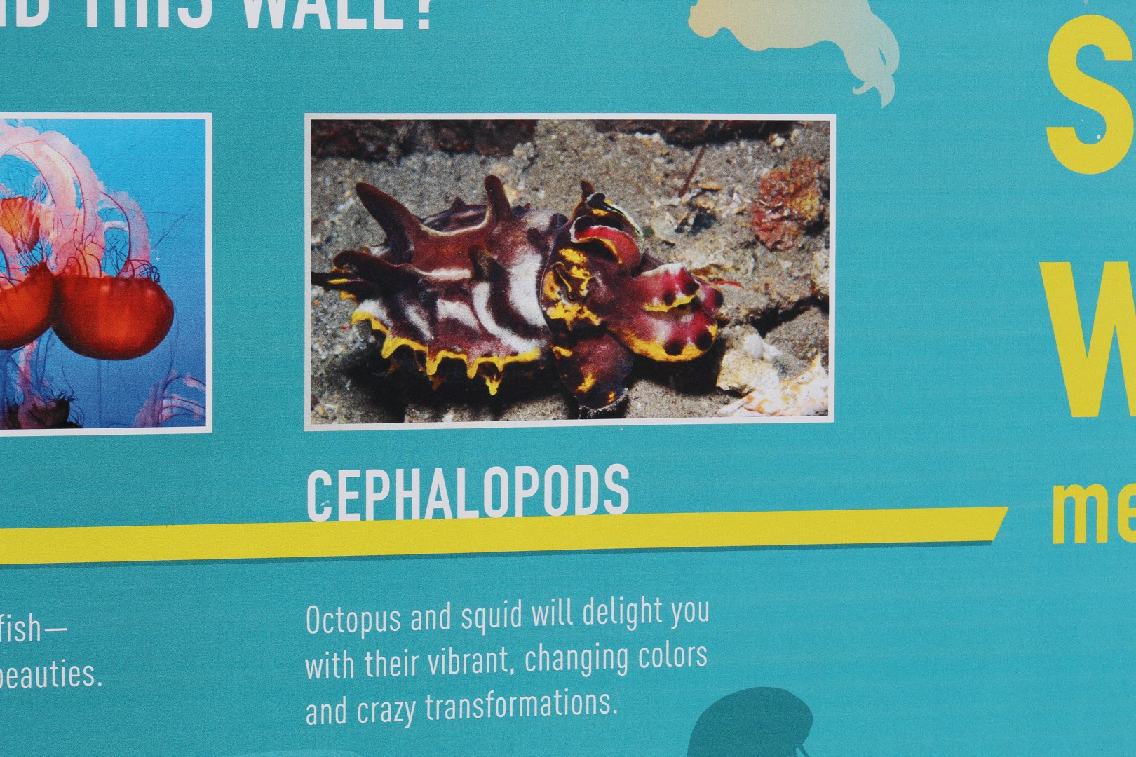 Aquarium Refurbishment