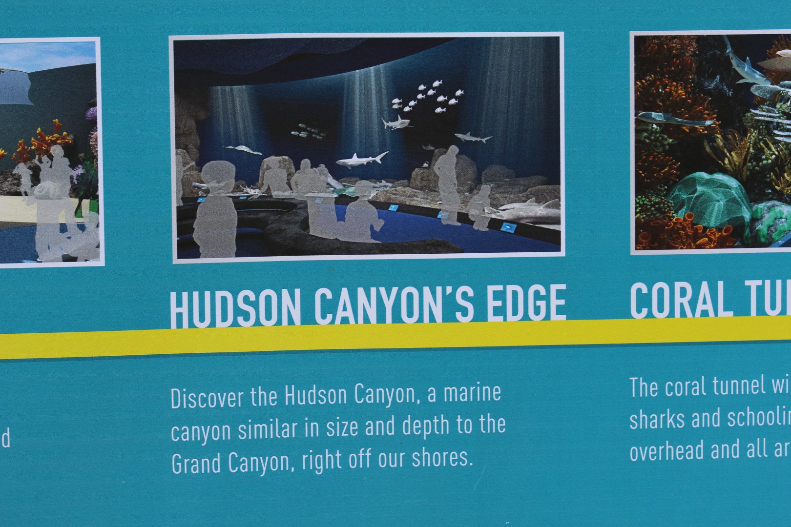 Aquarium Refurbishment