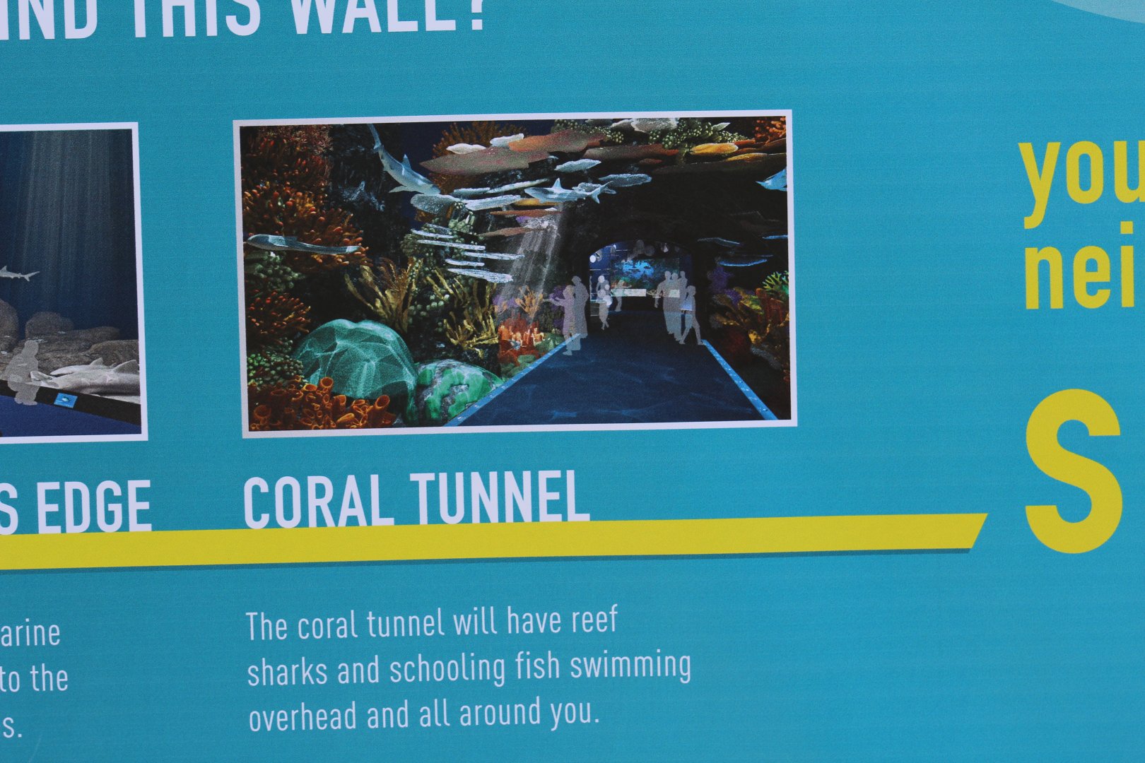 Aquarium Refurbishment