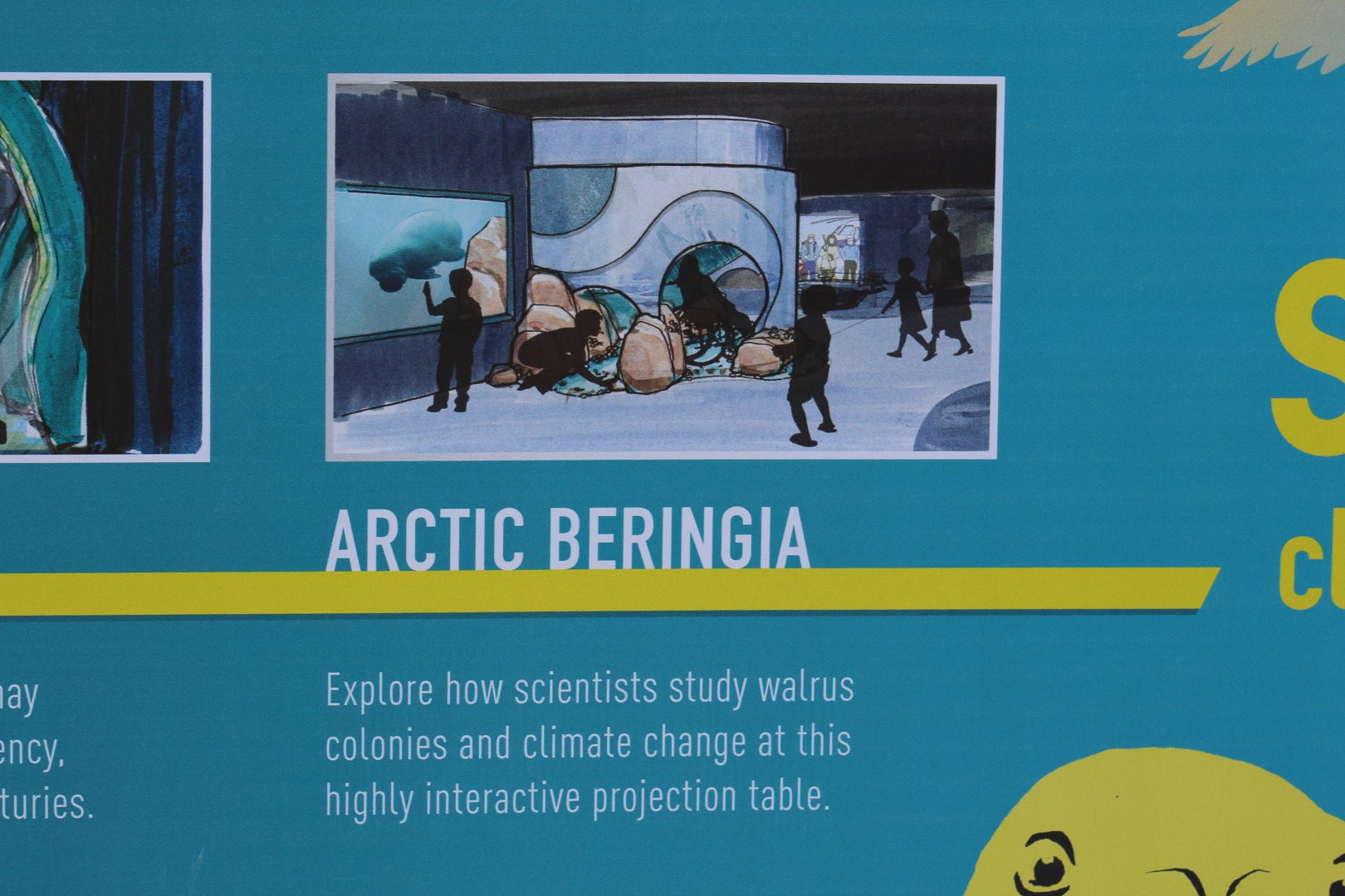 Aquarium Refurbishment