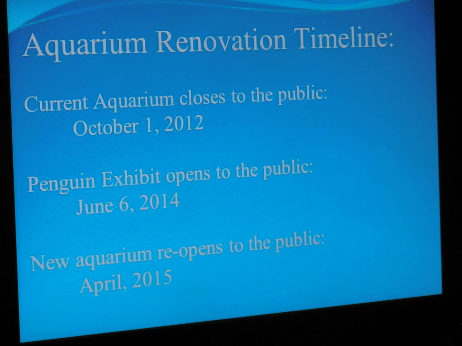 Aquarium renovation timeline