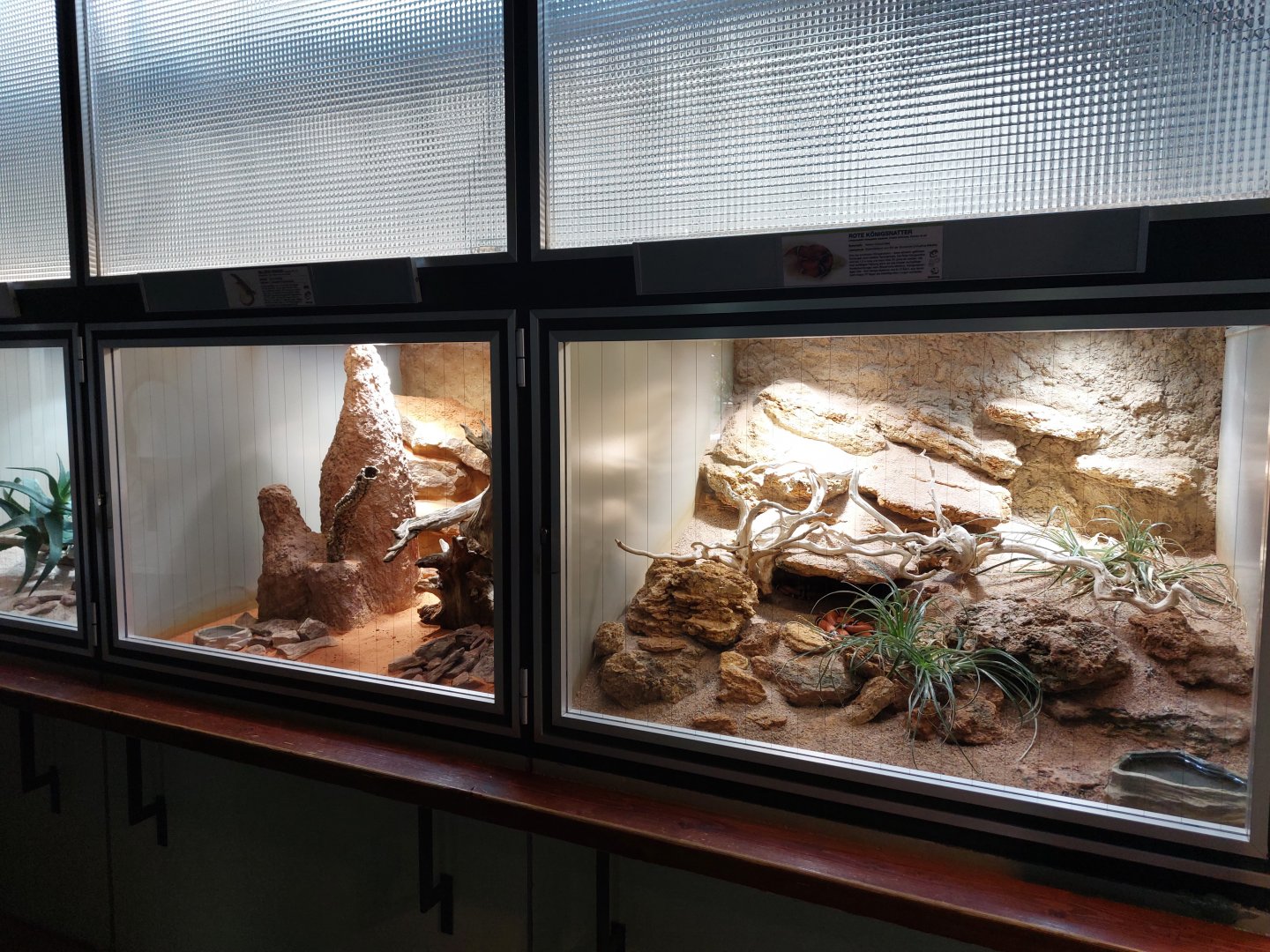 Aquarium - reptile area