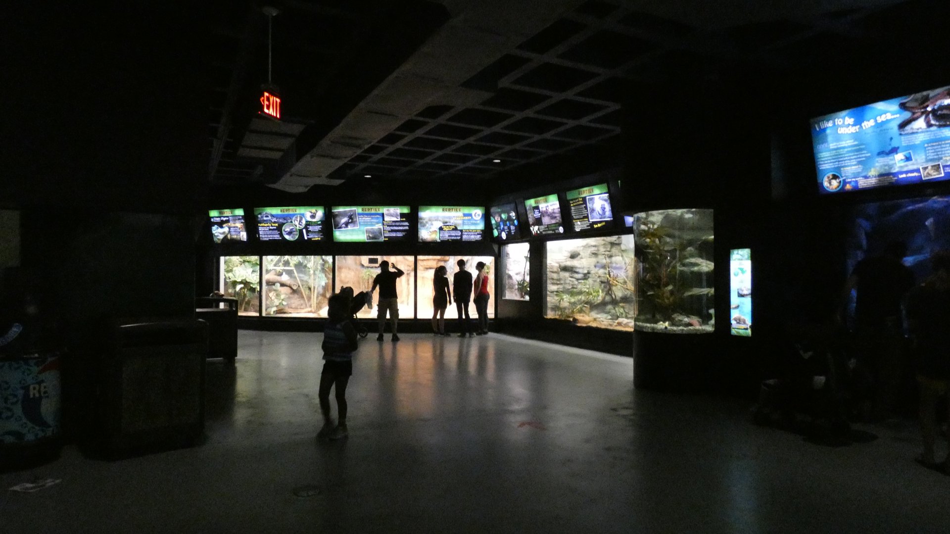 Aquarium & Reptile Building - Aug. 2021