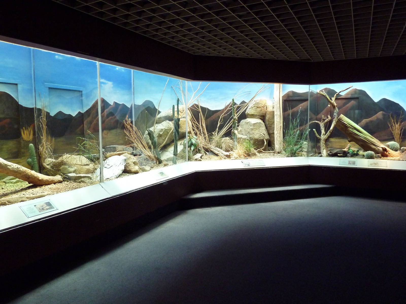 Aquarium/Reptile Complex - Desert Exhibits