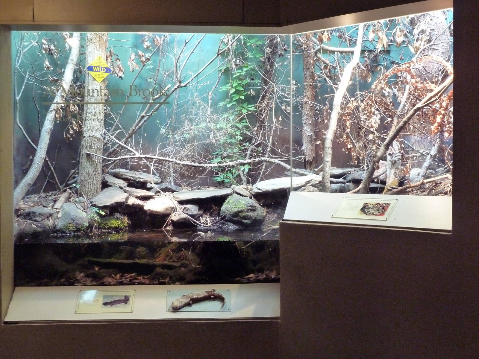Aquarium/Reptile Complex - Hellbender/Timber Rattlesnake Exhibit