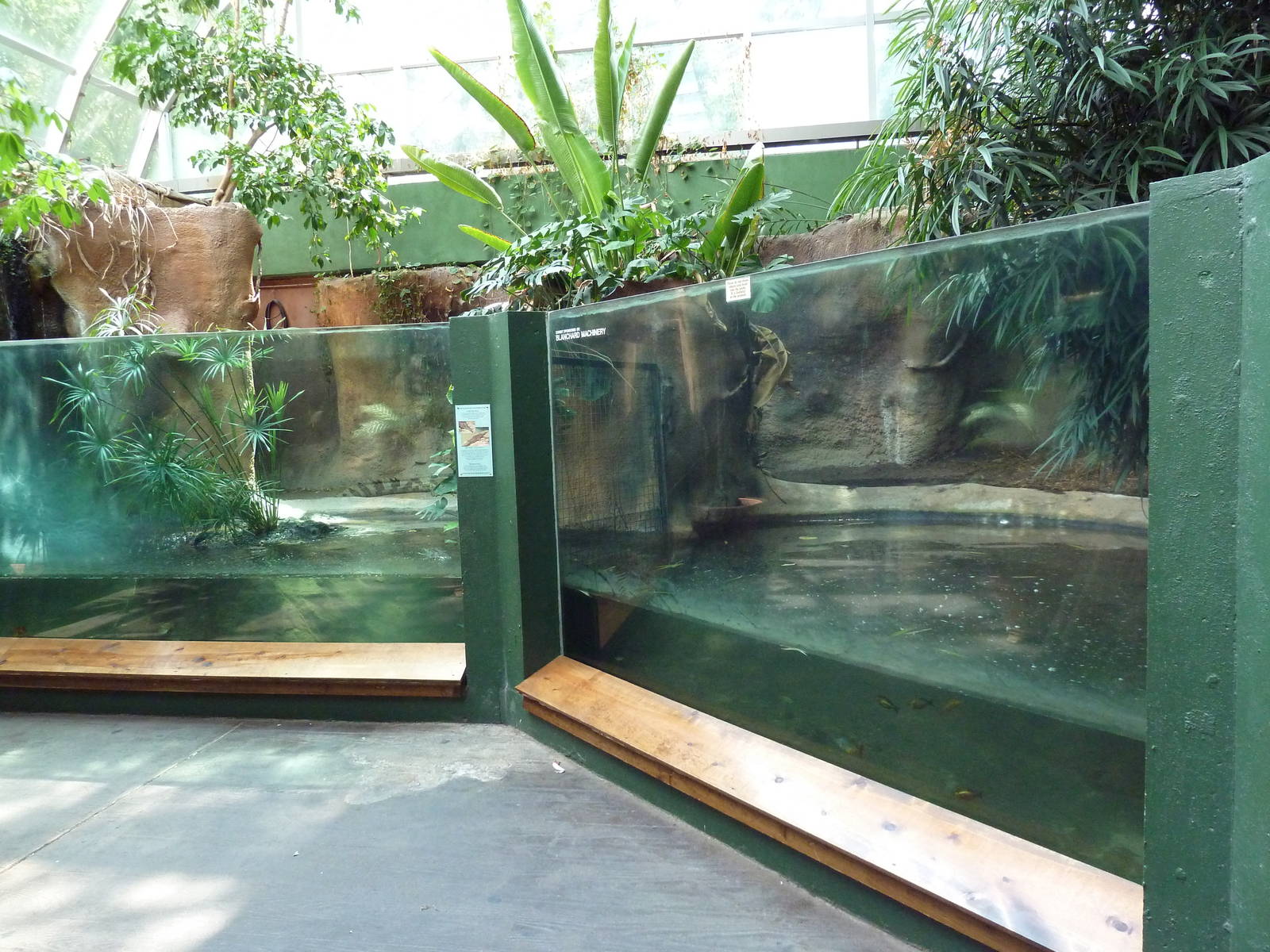 Aquarium/Reptile Complex - Tomistoma + Dwarf Caiman/Matamata Exhibits