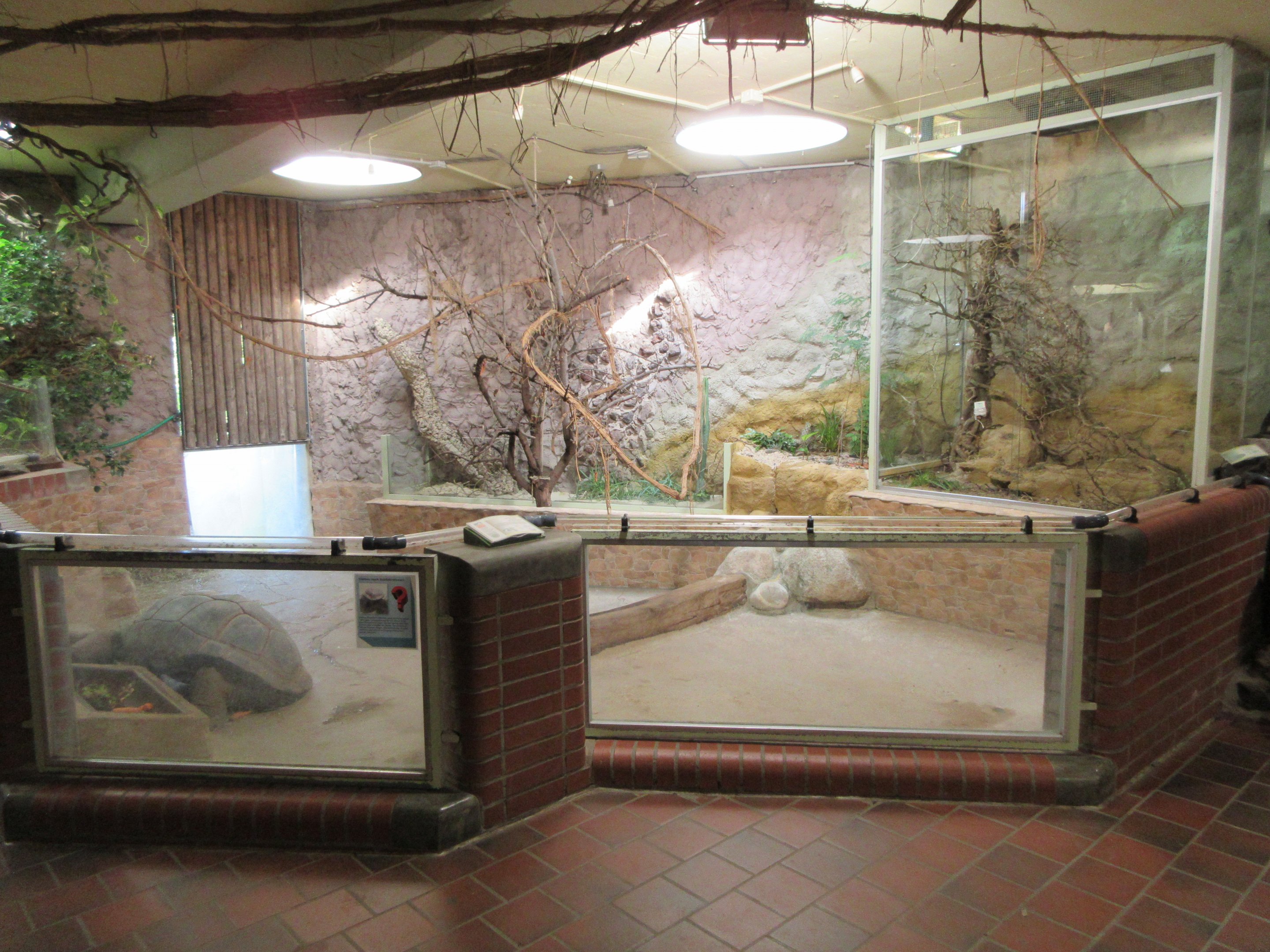 Aquarium/Reptile House - Aldabra Tortoise indoor area