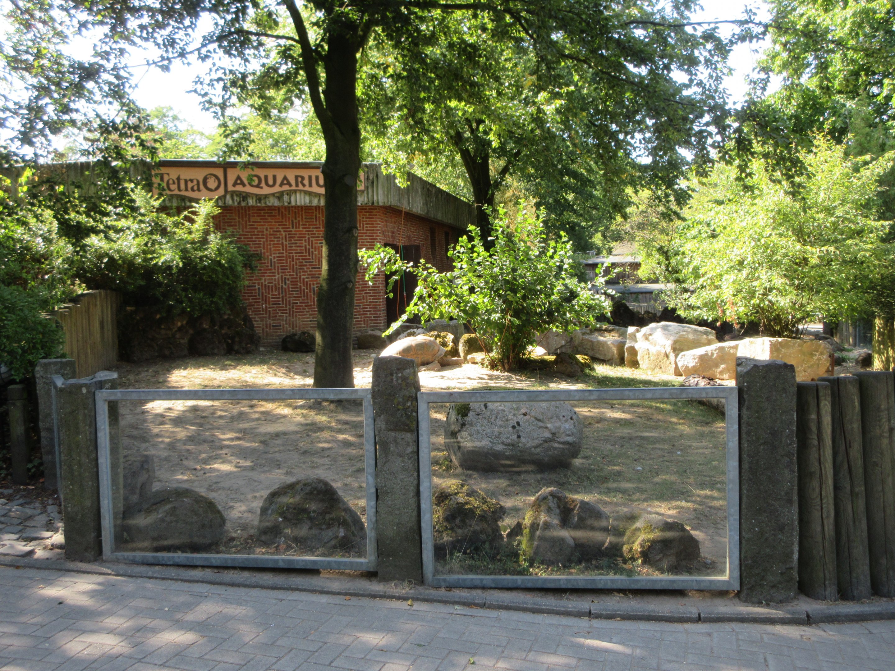 Aquarium/Reptile House - Aldabra Tortoise outdoor area