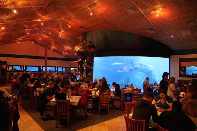 aquarium restaurant