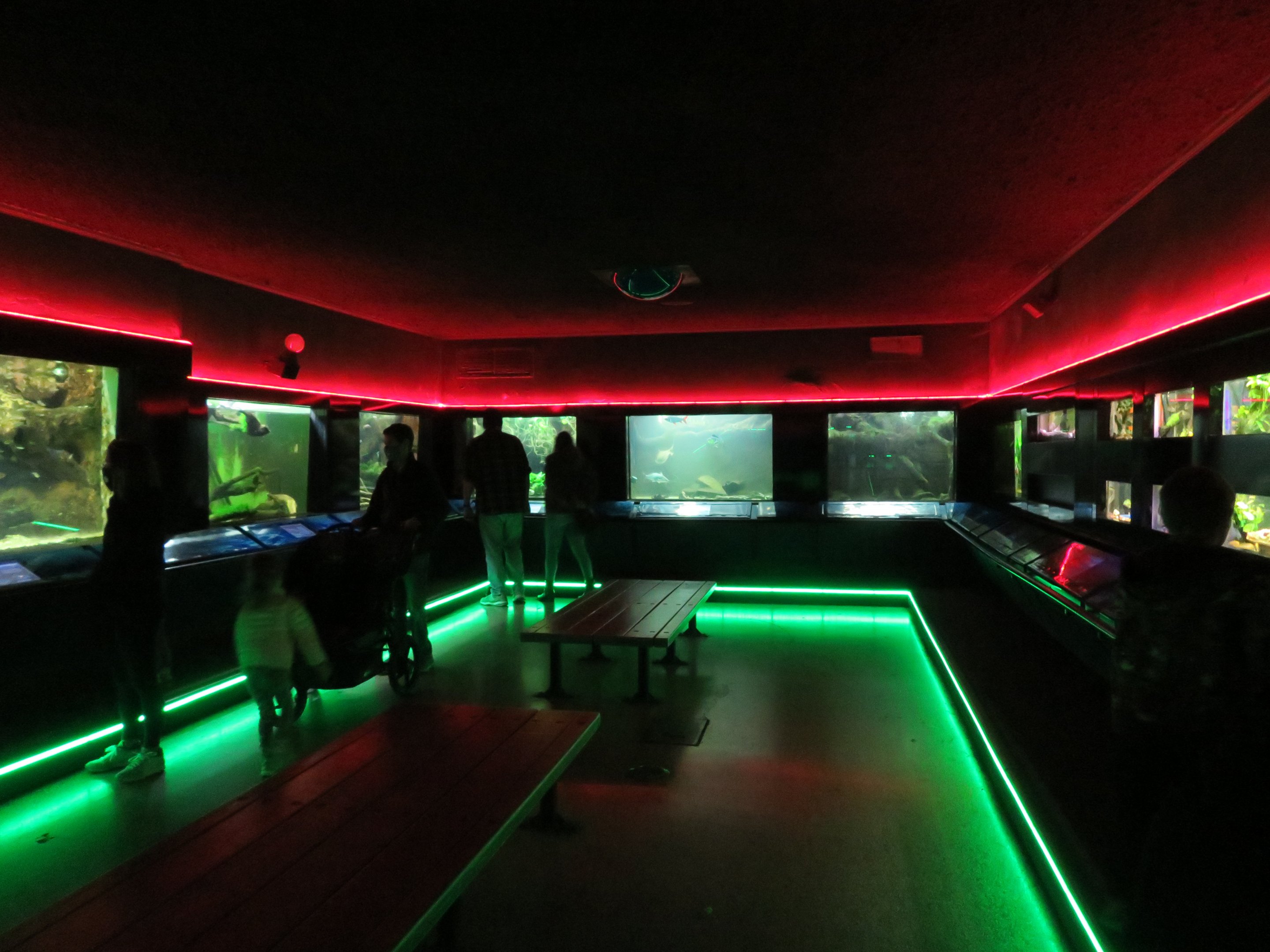 Aquarium - Right Side