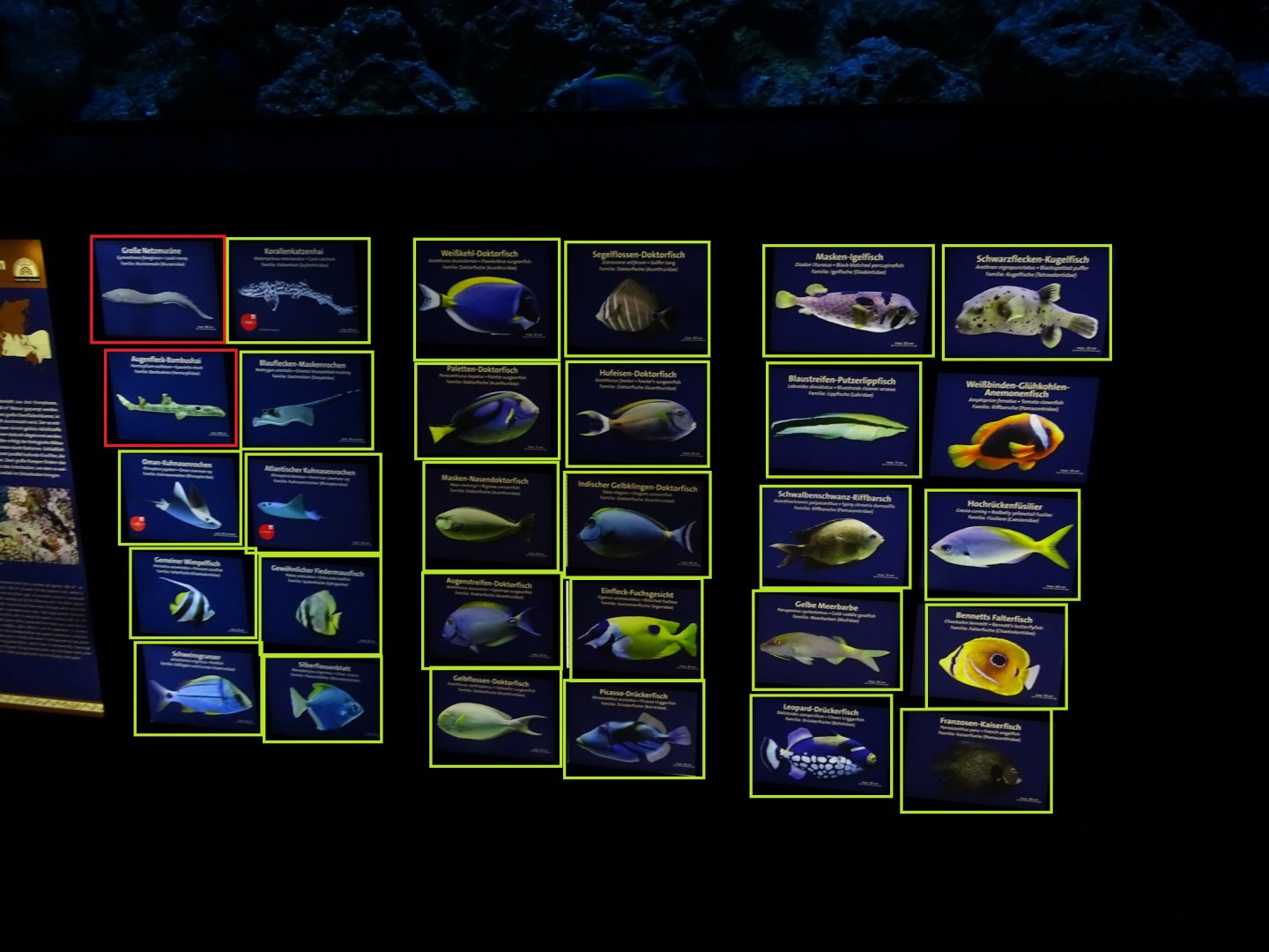 Aquarium: Ring-becken signage