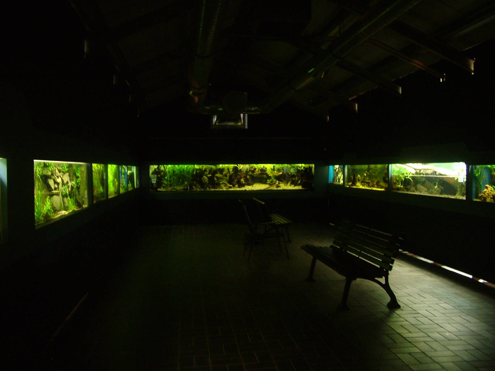 Aquarium Room at Darmstadt, 30/08/10