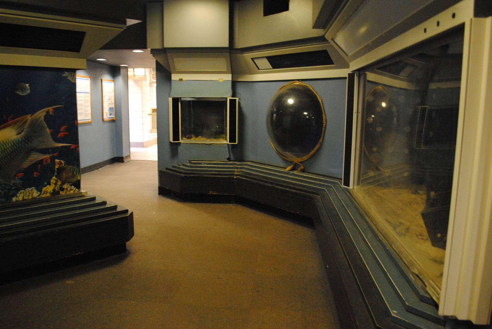 Aquarium Room in the Main Building (small and currently almost empty)