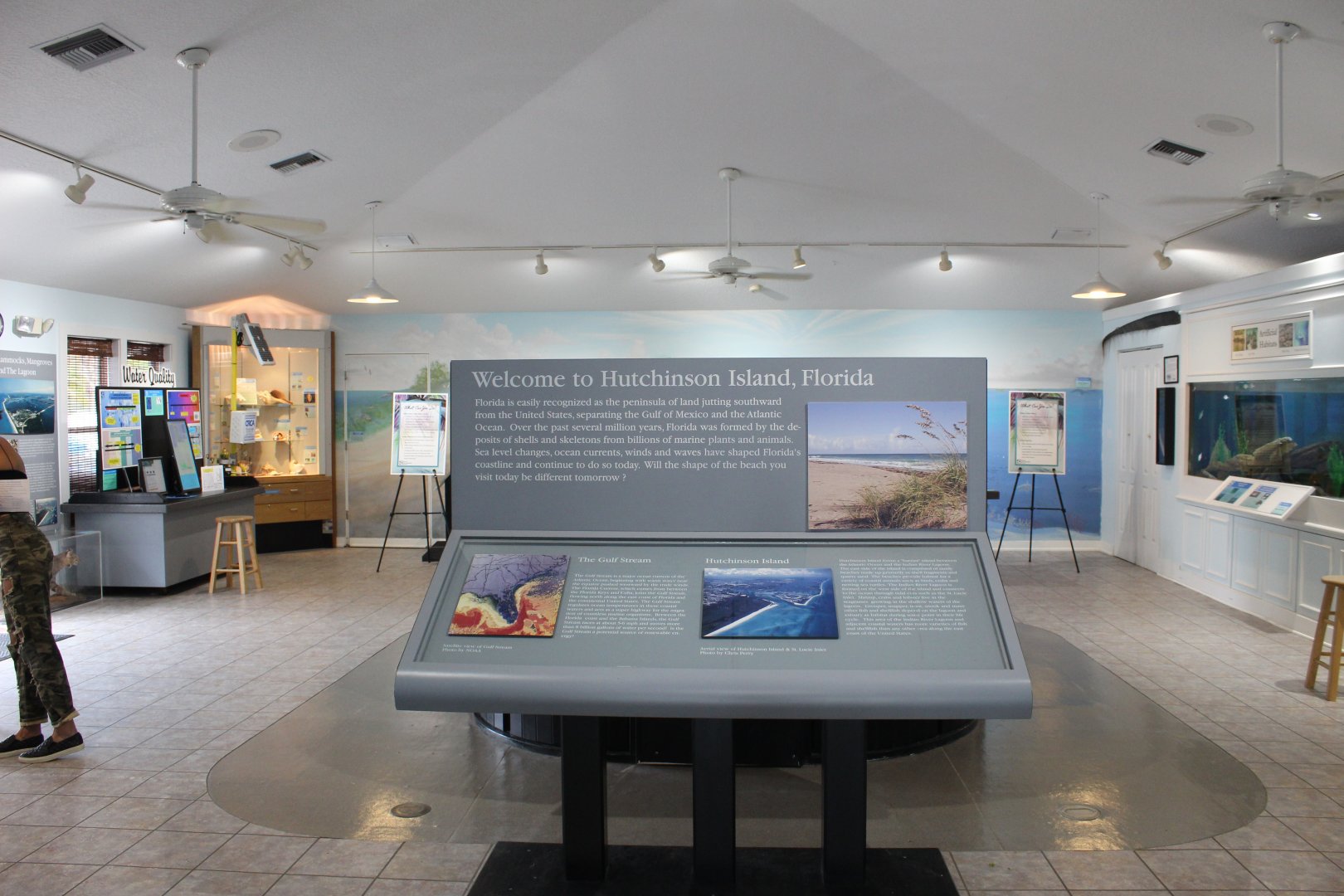 Aquarium Room Overview