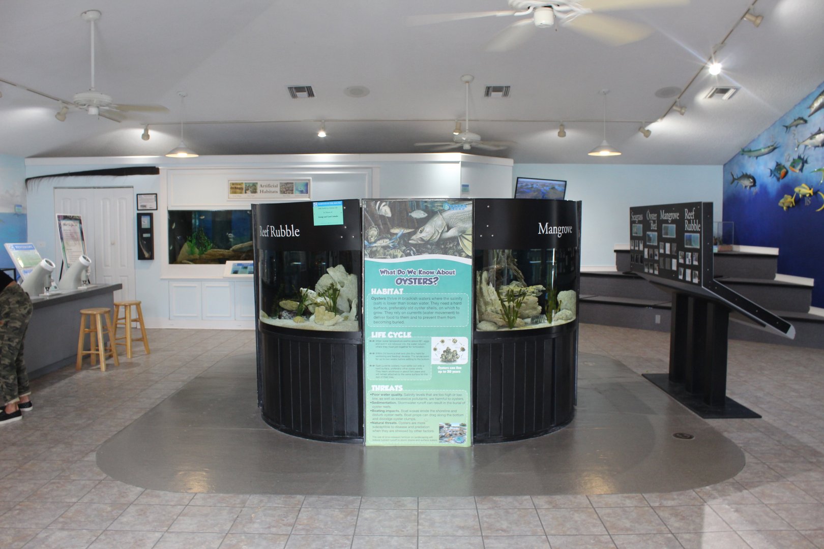 Aquarium Room Overview