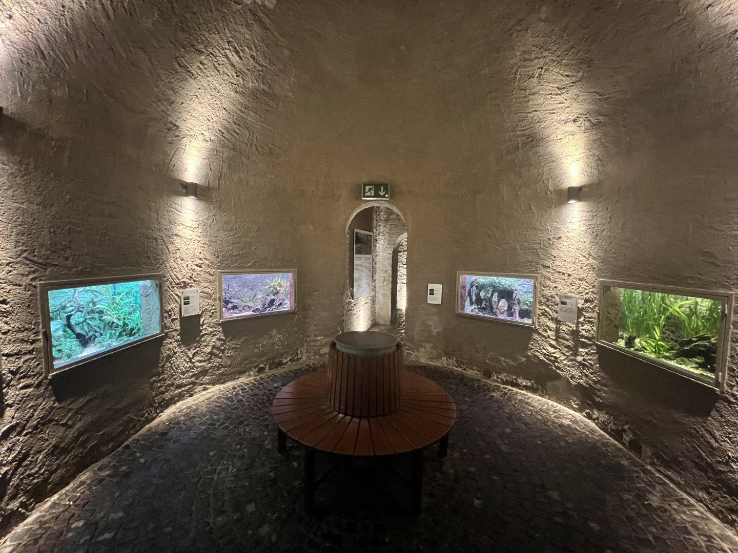 Aquarium Room underneath the Palm House