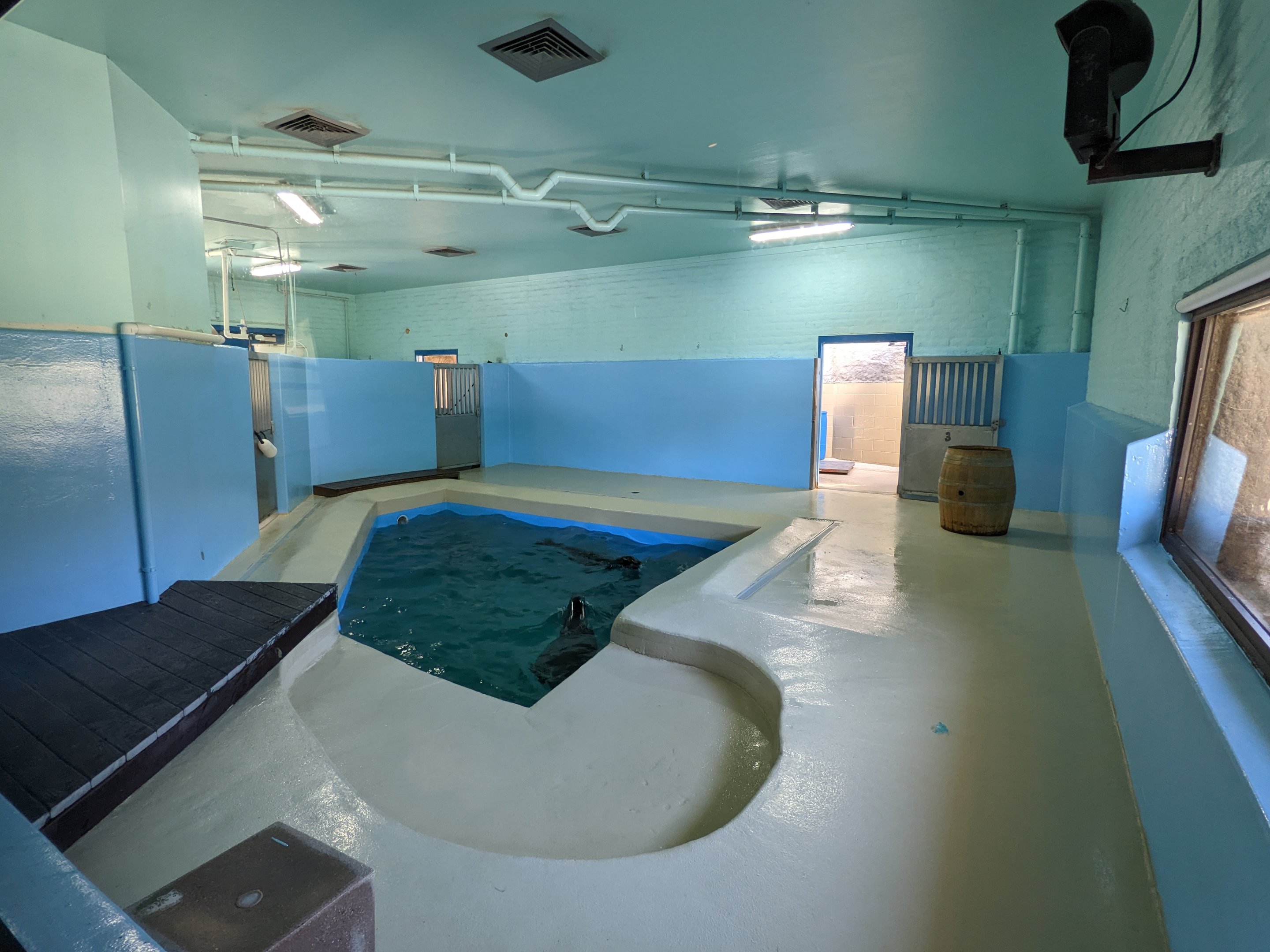 Aquarium - sealion indoor area