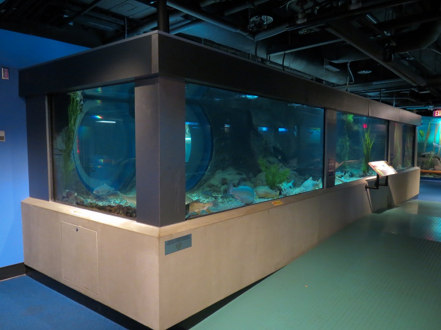 Aquarium - Second Pedestal Tank