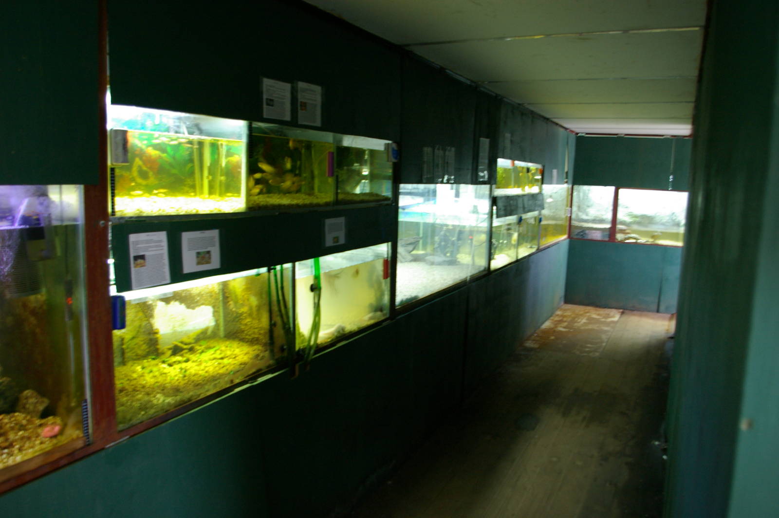 aquarium section at Landon Creek