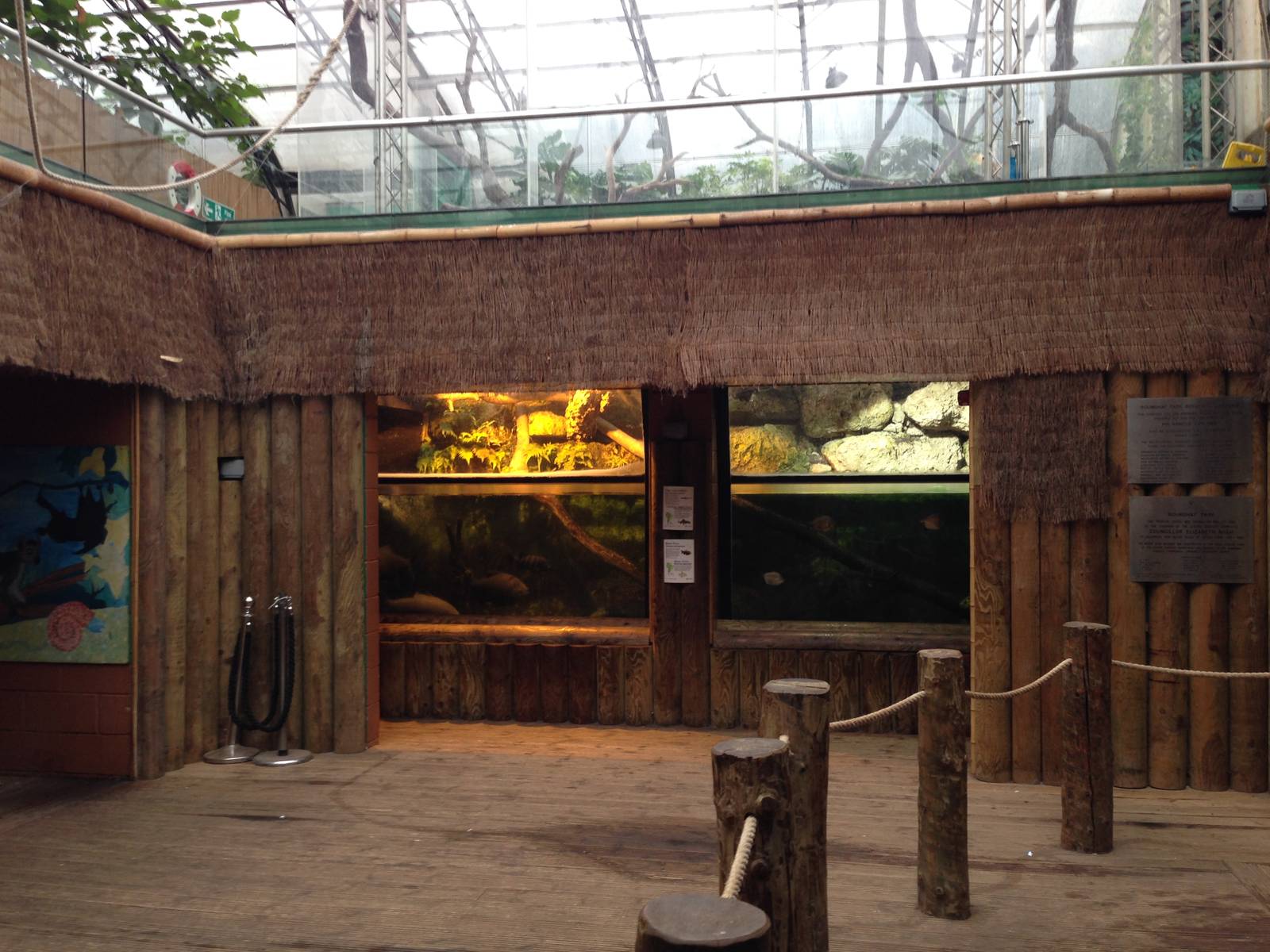 Aquarium Section General View at Tropical World - 02/10/2013