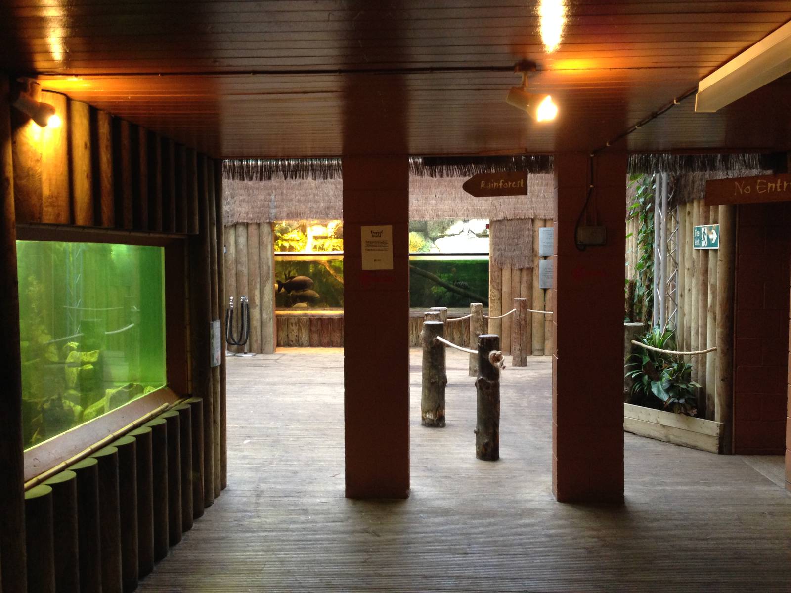 Aquarium Section General View at Tropical World - 02/10/2013