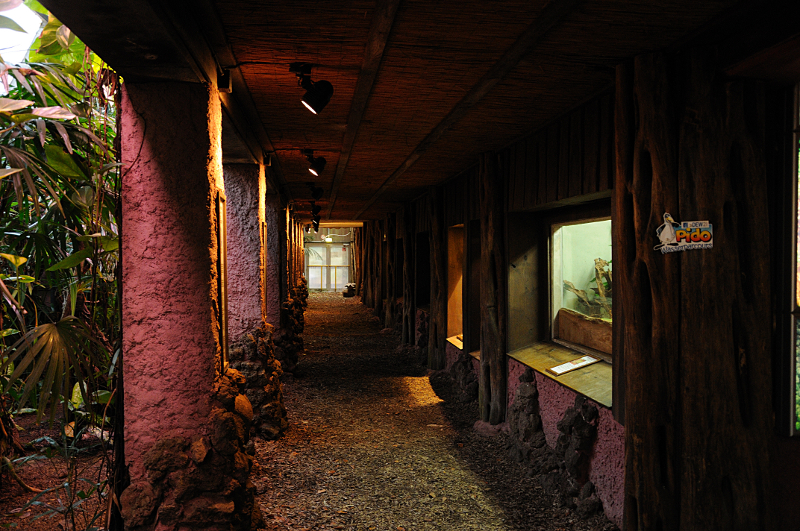 Aquarium section inside Amazon house at Dortmund