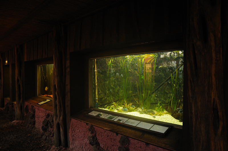 Aquarium section inside Amazon house at Dortmund