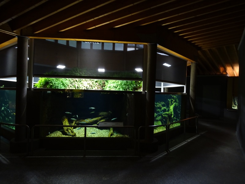 Aquarium section