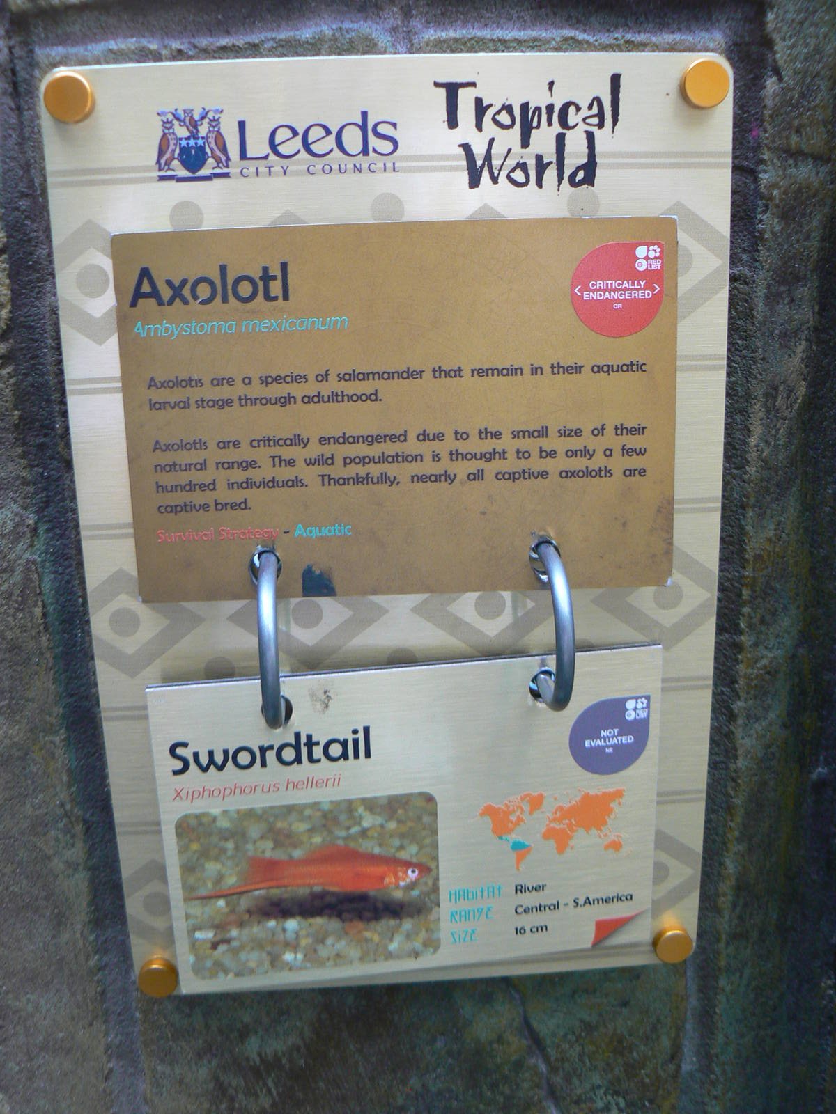 Aquarium Signage Example