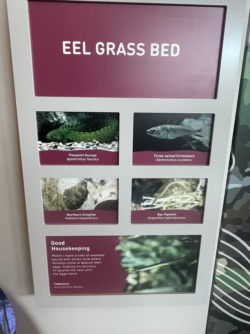 Aquarium Signage Example