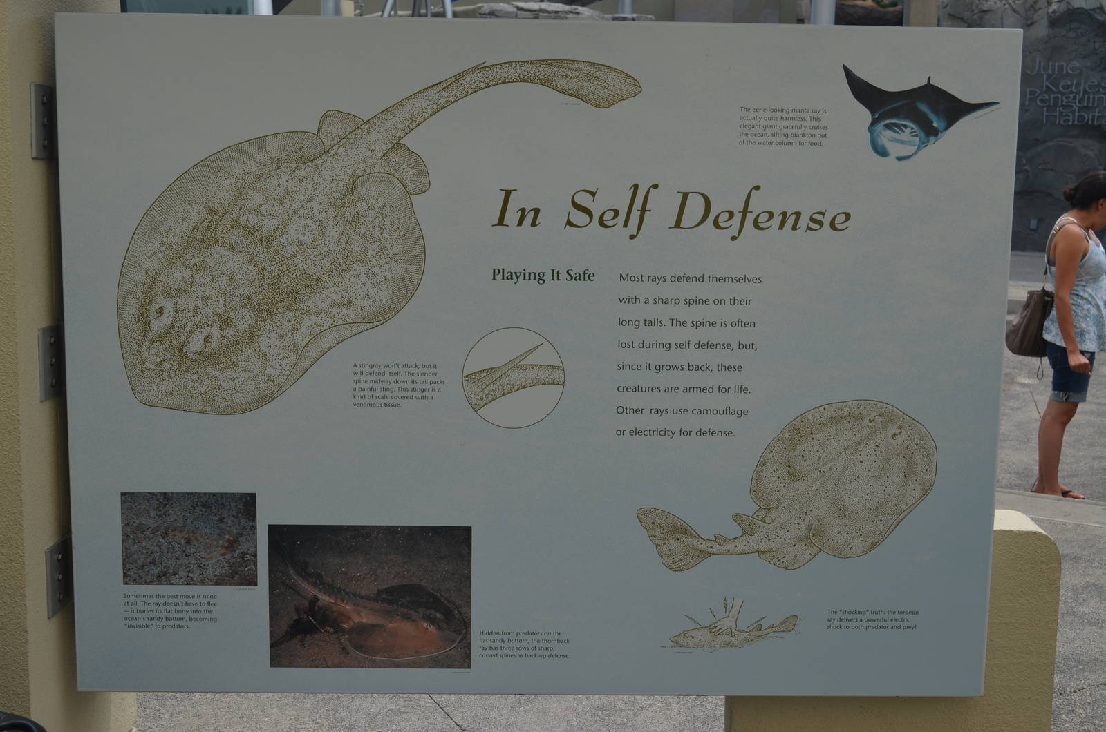 Aquarium Signage