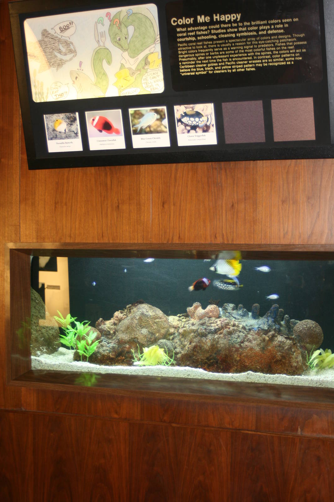 Aquarium signage
