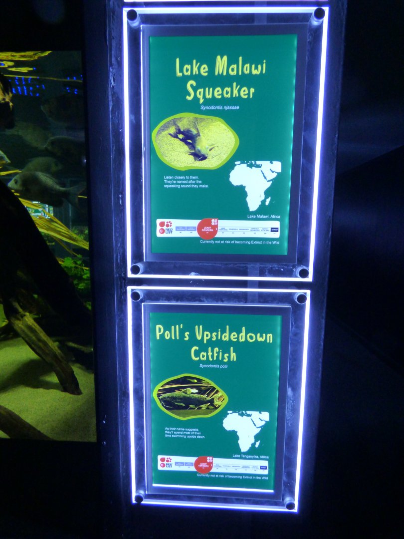Aquarium Signage