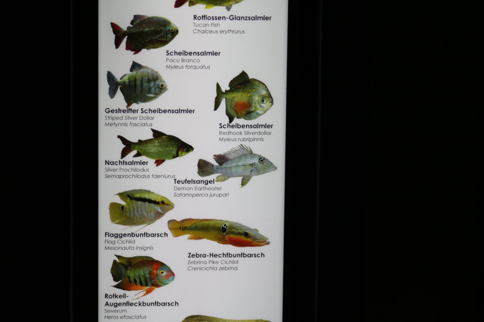 Aquarium Signage