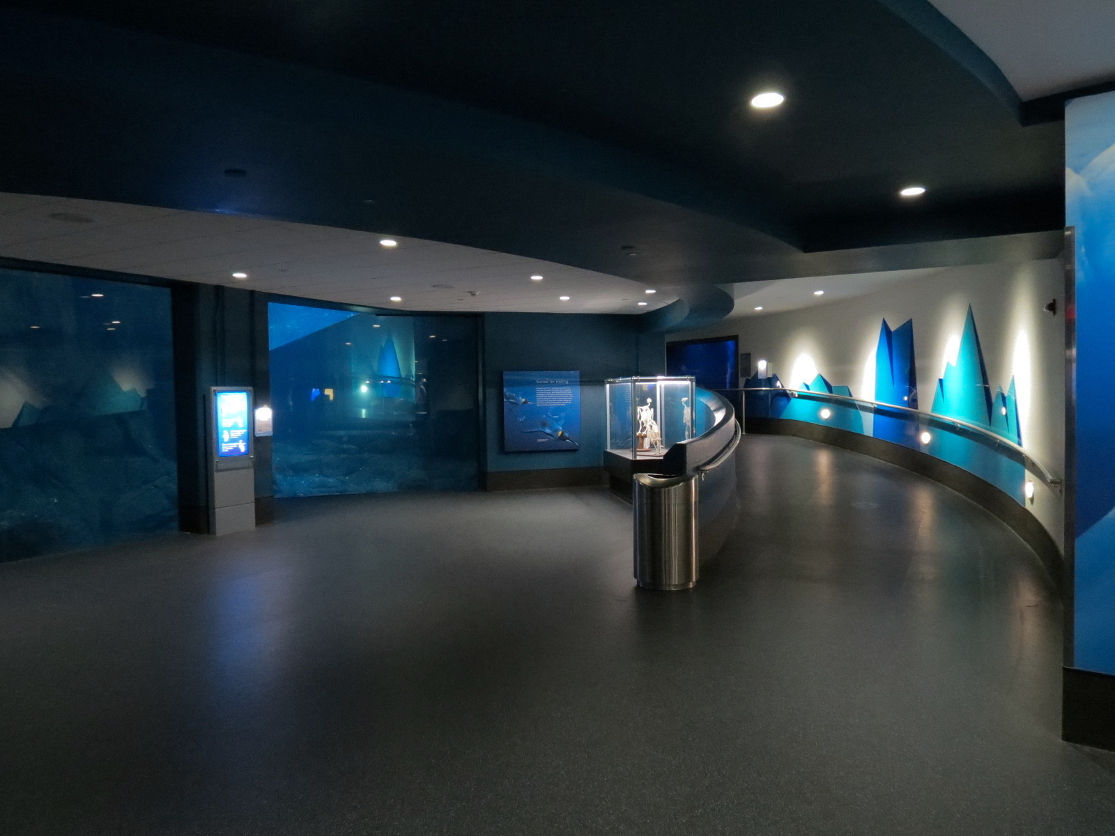 Aquarium - South Atlantic - Lower Level