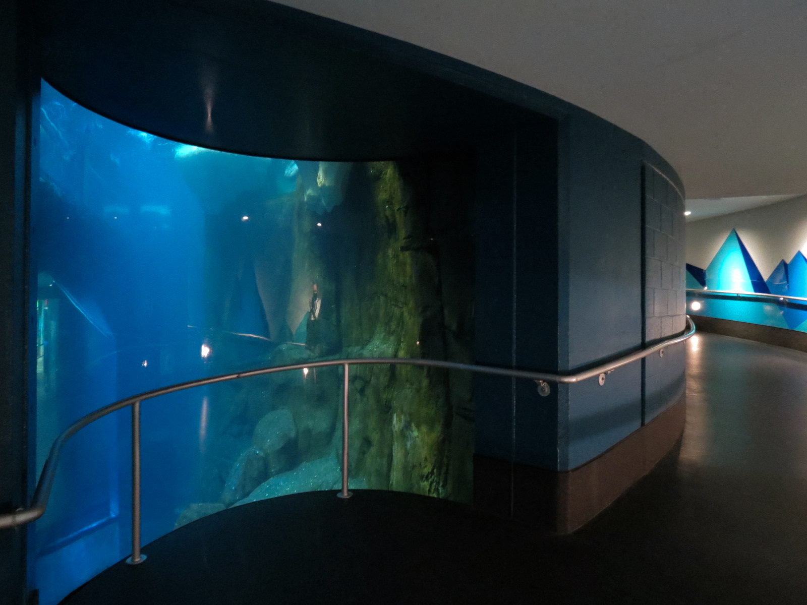 Aquarium - South Atlantic - Penguin Exhibit - Lower Level