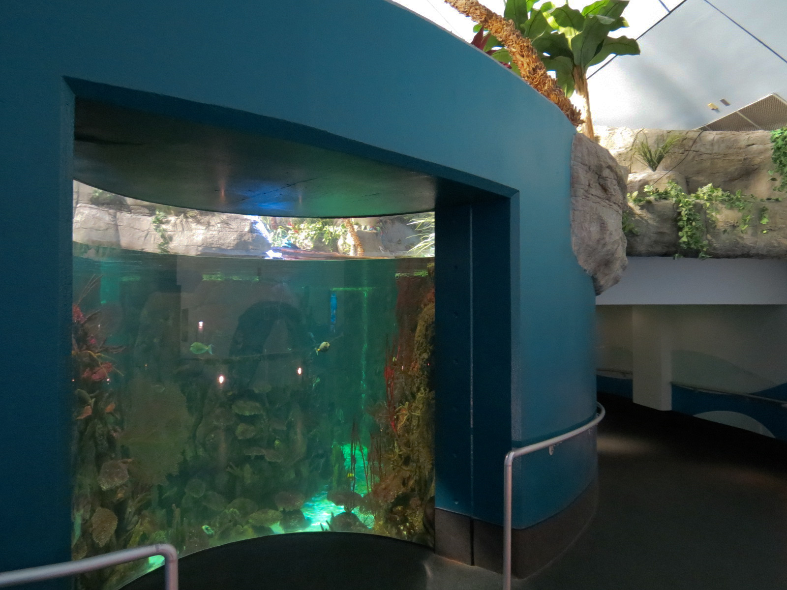 Aquarium - South Pacific - Main Exhibit - Lower Level